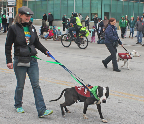 City Dogs - Division 3 of Cleveland St Patrick's Day Parade