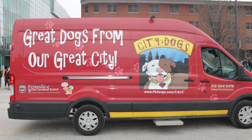 City Dogs - Division 3 of Cleveland St Patrick's Day Parade