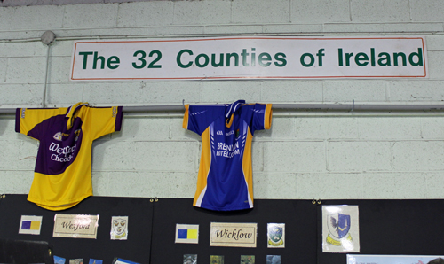 32 Counties of Ireland display