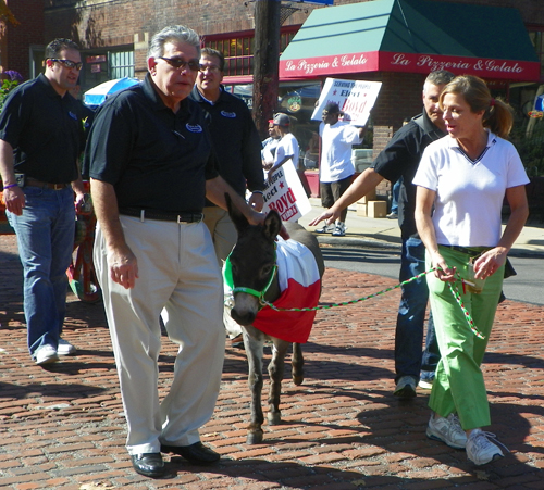 Donkey at Columbus Day Parade in Cleveland - Little Italy