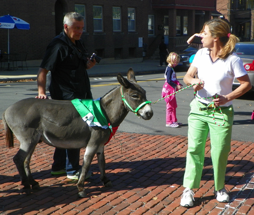 Donkey at Columbus Day Parade in Cleveland - Little Italy
