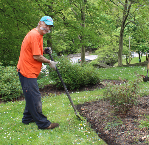 Mick Spena working in the Italian Cultural Garden