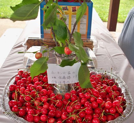 JANO (Japanese Association of Northern Ohio) - cherries