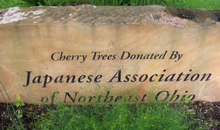 Cherry trees donated by JANO (Japanese Association of Northern Ohio)