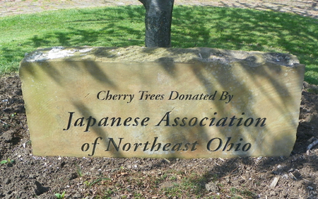 Cherry Blossoms in Cleveland - Japanese Association of Northeast Ohio