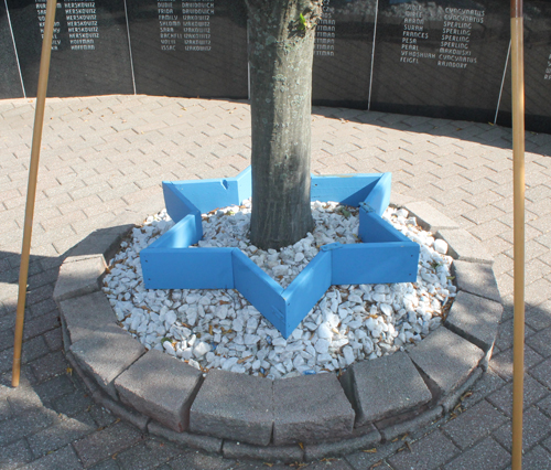 Tree with Star of David 