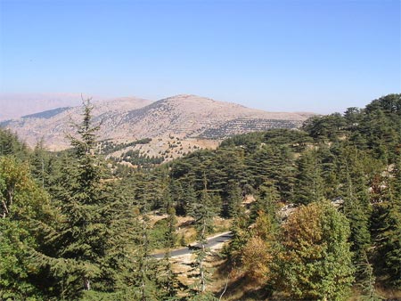 Mountain scenery in Barouk