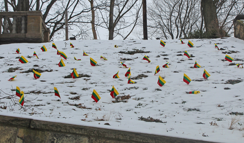 Lithuania flags on the hillside of the Cultural Garden for Independence Day