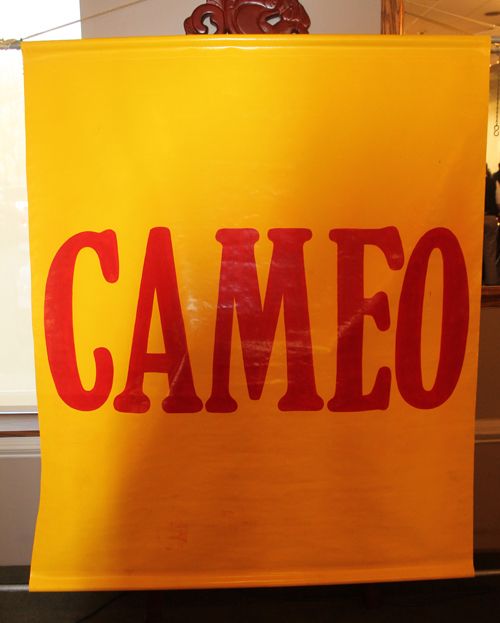 CAMEO Banner