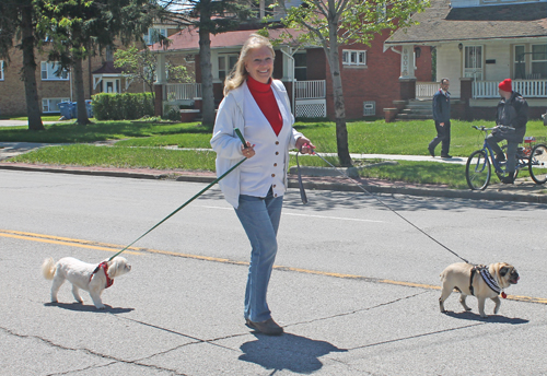 dogs at 2017 Polish Constitution Day Parade in Parma