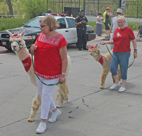 2017 Polish Constitution Day Parade in Cleveland's Slavic Village neighborhood