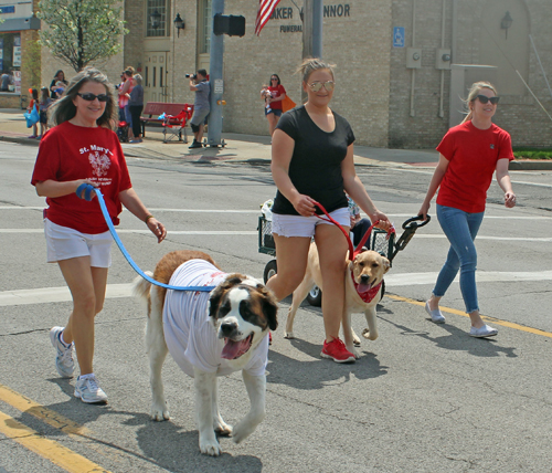 Polish Constitution Day Parade in Parma