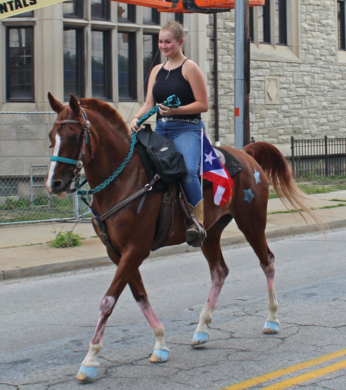 Horses at  2018 Puerto Rican Parade in Cleveland