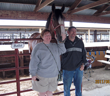 Clearview Farms Clydesdale