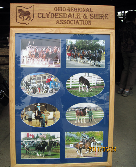 Ohio Regional Clydesdale & Shire Association