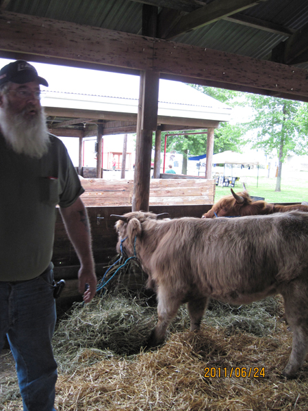 Hyde Park Farms-Highland Cattle