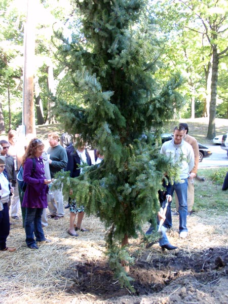 Serbian Spruce Tree Planting in Ceveland Serbian Cultural Garden