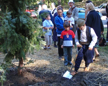 Serbian Spruce Tree Planting in Ceveland Serbian Cultural Garden