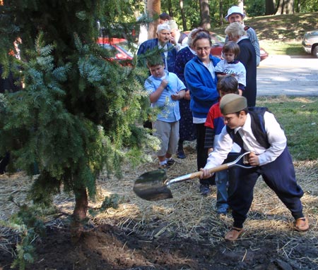 Serbian Spruce Tree Planting in Ceveland Serbian Cultural Garden