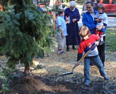 Serbian Spruce Tree Planting in Ceveland Serbian Cultural Garden
