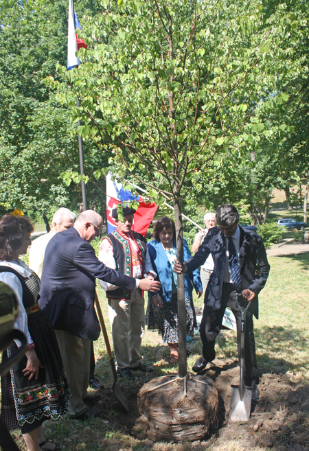 Slovak group around new tree