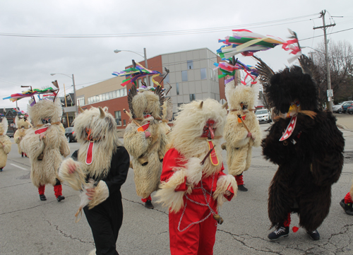 5th annual Sloevenian Kurentovanje Parade in Cleveland