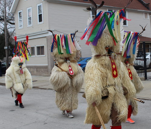 Kurents in Kurentovanje Parade in Cleveland