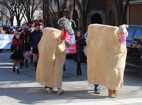 animals at 2020 Kurentovanje Parade in Cleveland