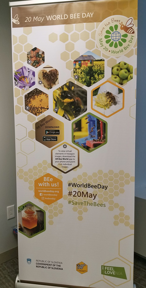 World Bee Day May 20 banner