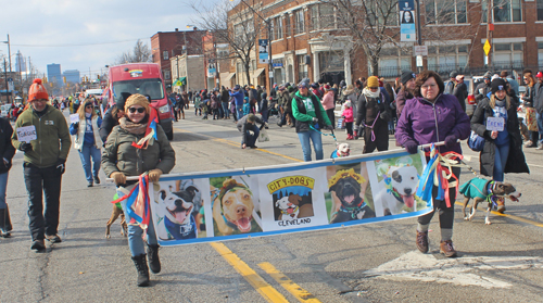 City Dogsa at 2022 Kurentovanje Parade in Cleveland