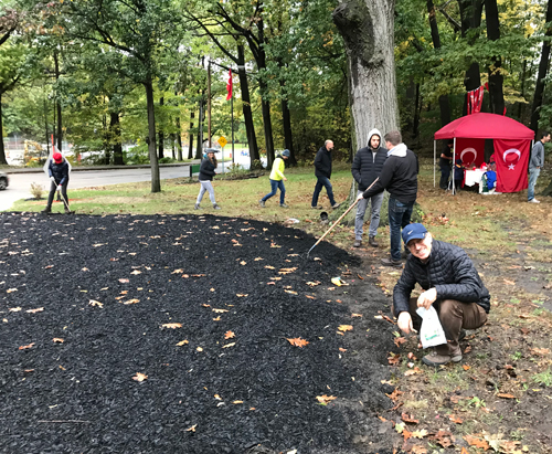 Planting tulips in the Turkish Cultural Garden in Cleveland Ohio