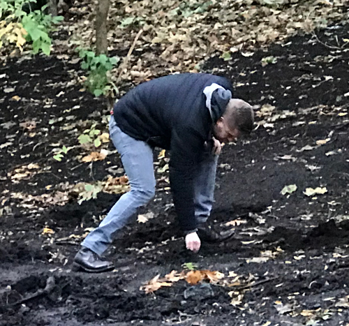 Planting tulips in the Turkish Cultural Garden in Cleveland Ohio