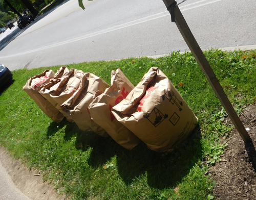 Vietnamese Garden cleanup