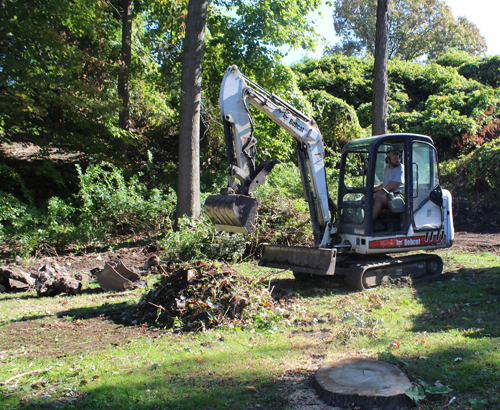 Digging in the Vietnamese Cultural Garden
