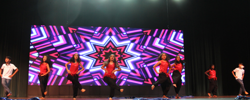 India Festival USA Performers