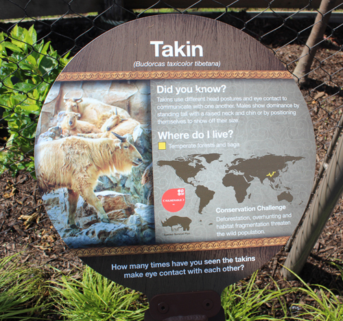 Takin info at Cleveland Metroparks Zoo