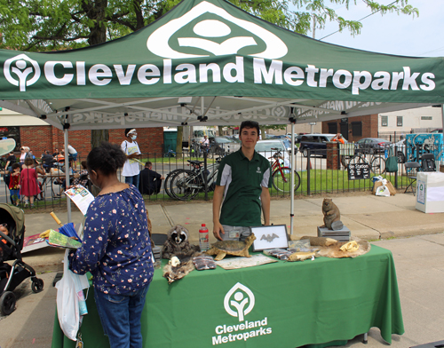 Metroparks at Cleveland Asian Festival