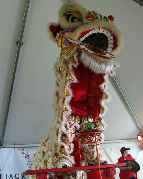 Kwan Family Lion Dance Team