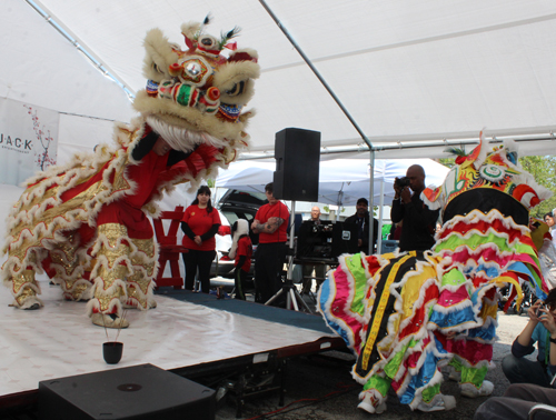 New and old  Kwan Family Lions dancing
