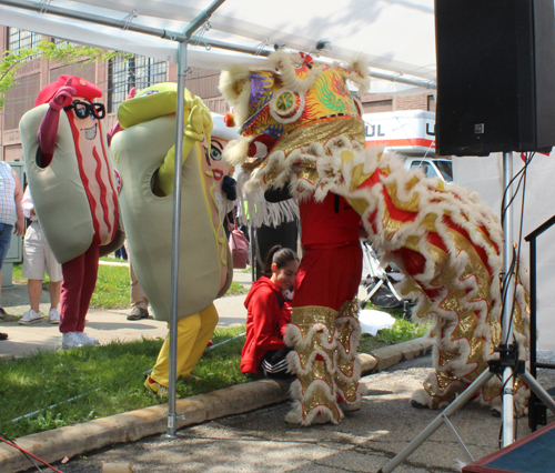 Kwan Family Lion Dance Team at the 2023 Cleveland Asian Festival