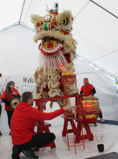 Kwan Family Lion Dance Team at the 2023 Cleveland Asian Festival