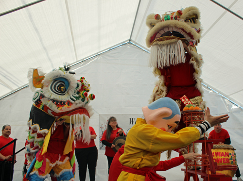 Kwan Family Lion Dance Team at the 2023 Cleveland Asian Festival