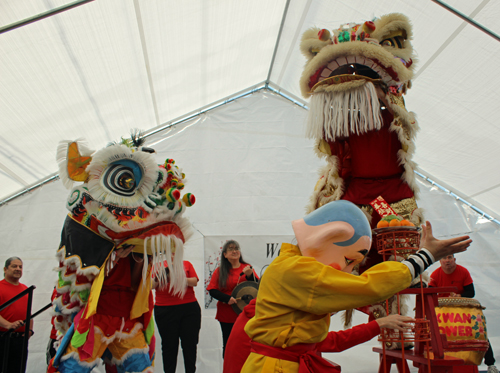 Kwan Family Lion Dance Team at the 2023 Cleveland Asian Festival