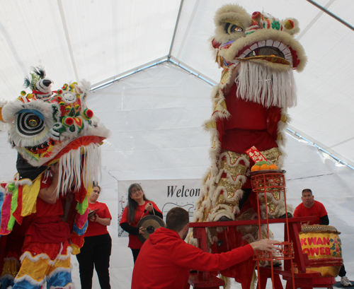 Kwan Family Lion Dance Team at the 2023 Cleveland Asian Festival