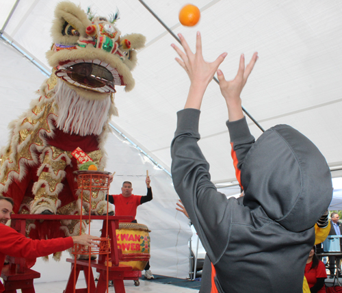 Kwan Family Lion Dance Team at the 2023 Cleveland Asian Festival