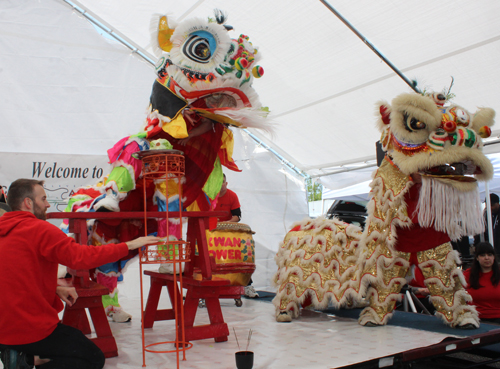 Kwan Family Lion Dance Team at the 2023 Cleveland Asian Festival