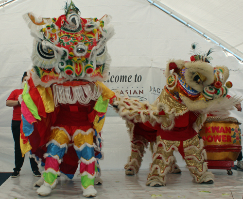 Kwan Family Lion Dance Team at the 2023 Cleveland Asian Festival