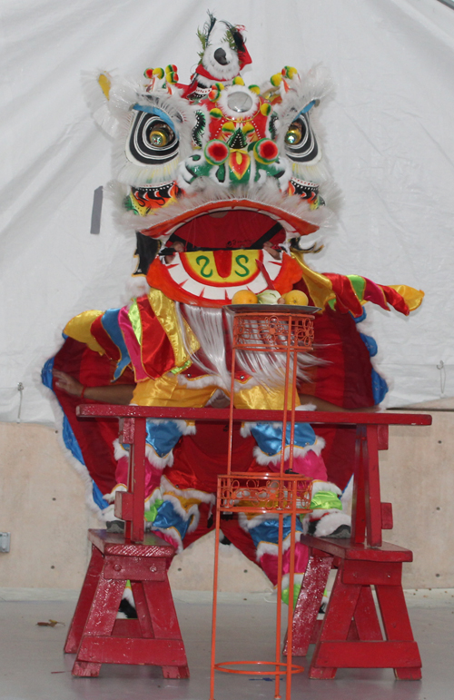 Kwan Family Lion Dance in the Cultural Gardens