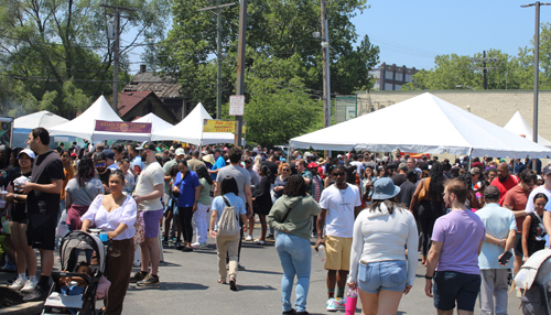 Crowd at Cleveland Asian Festival