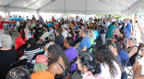 Crowd at Cleveland Asian Festival